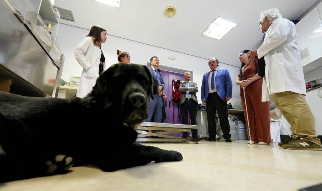 Luis Alberto Calvo visita la sede de la Fundación ONCE del Perro Guía para conocer el proceso de adiestramiento