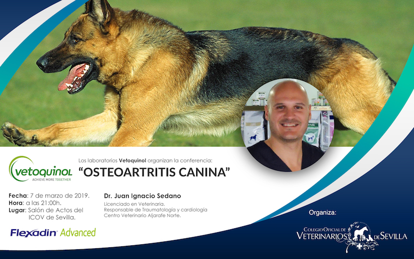Charla sobre “Osteoartritis canina”