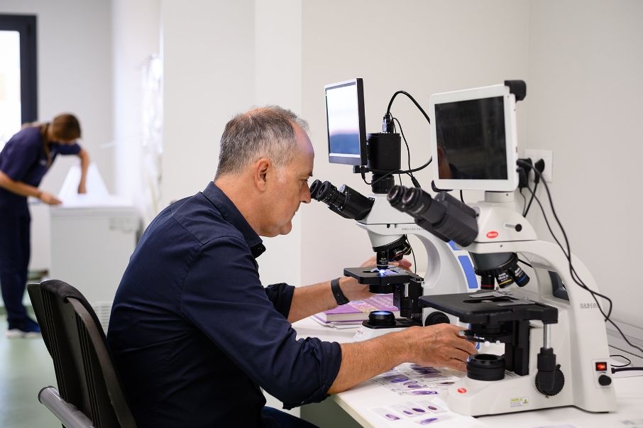 Francisco &ldquo;Pachi&rdquo; Clemente: ciencia, sensibilidad y oncolog&iacute;a veterinaria en la lucha contra el c&aacute;ncer animal