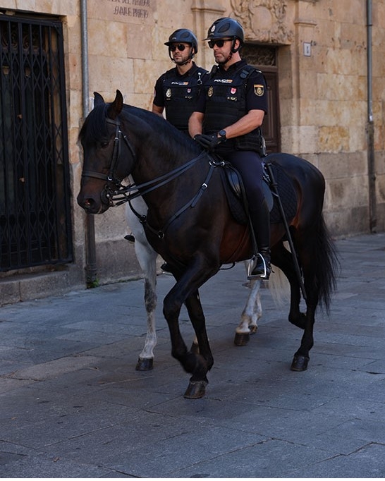 La Policía Nacional, Jesús Aguirre y las Reales Academias de Ciencias Veterinarias Sevillana y de Andalucía Oriental, premios Albéitar 2024