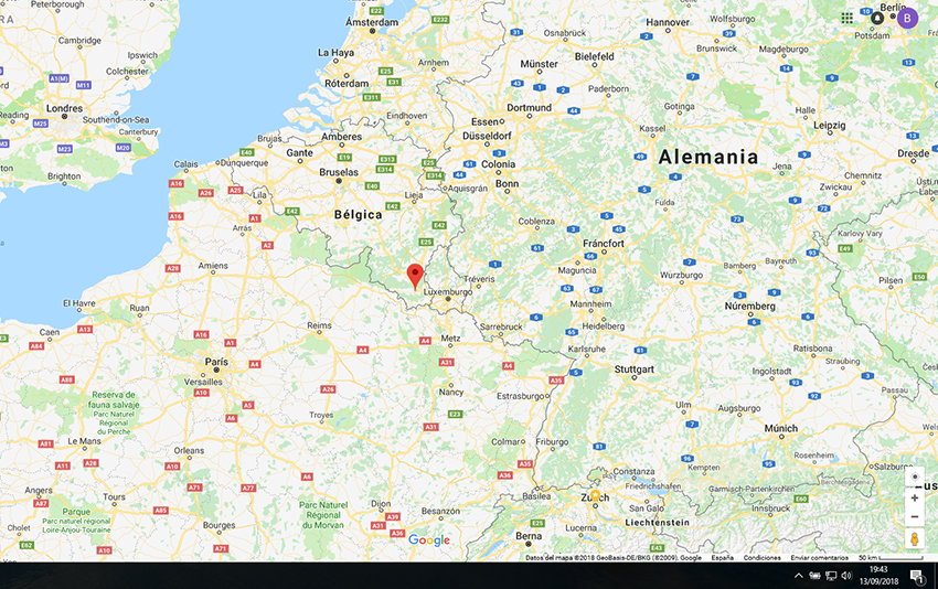 Detectado un caso de peste porcina africana (PPA) en Bélgica