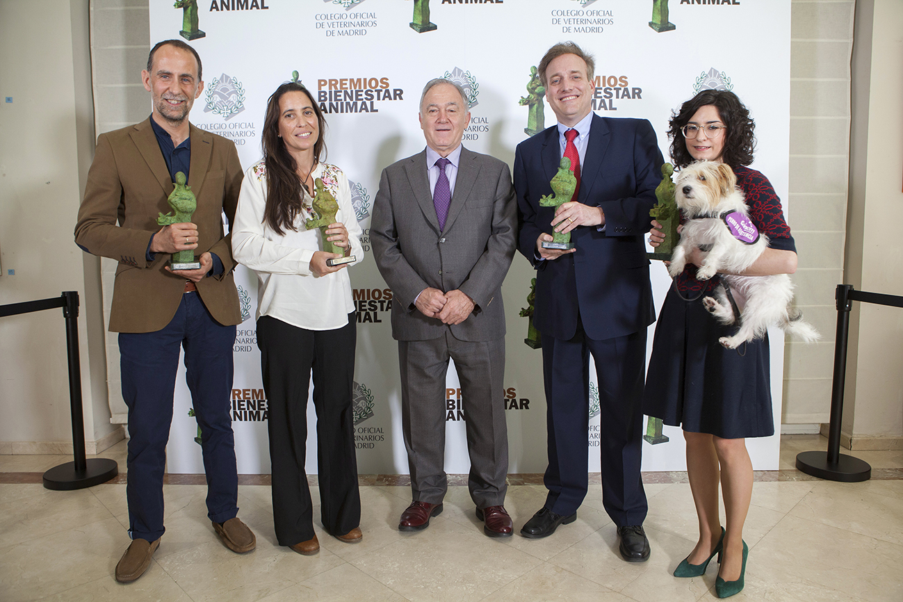 COLVEMA refuerza el liderazgo de la profesión veterinaria en el bienestar animal con sus premios anuales