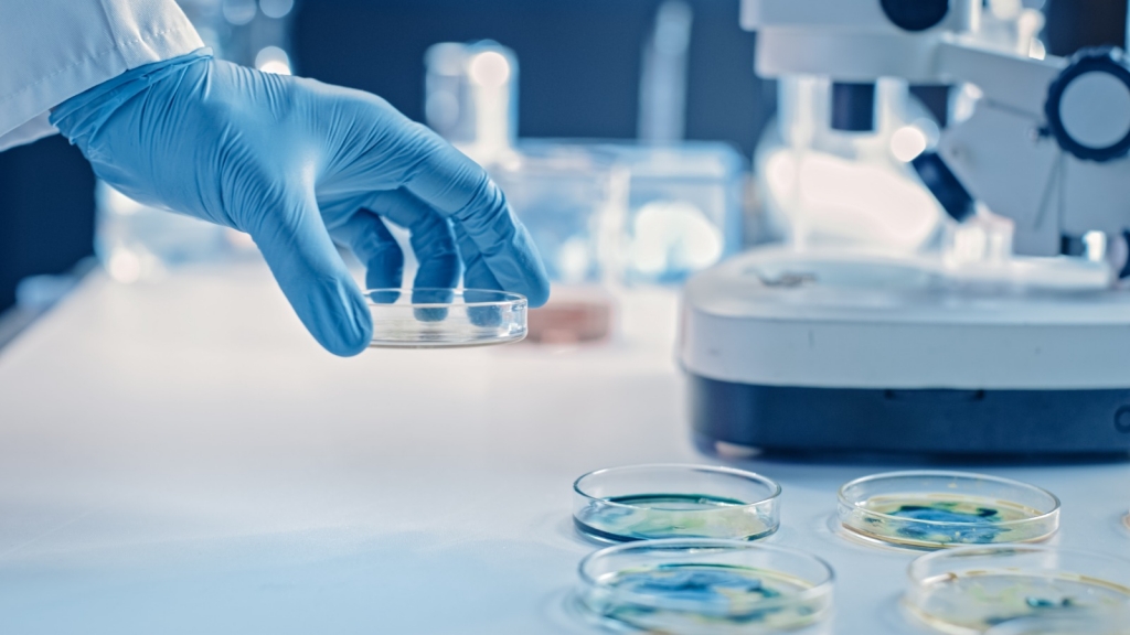 La OCV promoverá un estudio sobre vigilancia y prevención del desarrollo de resistencias a los antimicrobianos en animales de compañía
