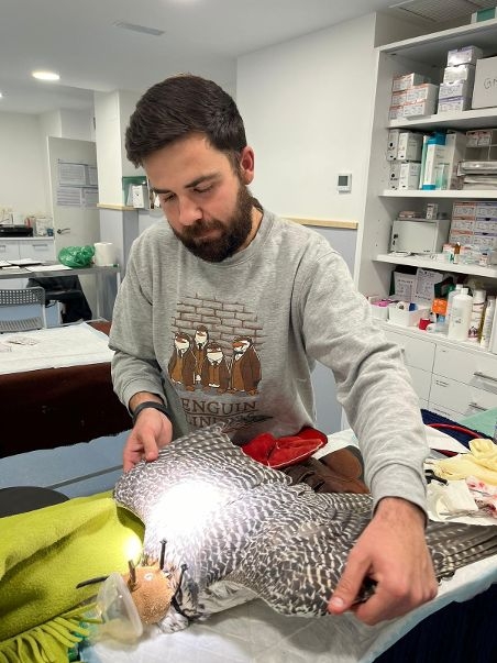 Jonatan Mikel Mar&iacute;n Luis: cl&iacute;nica de halcones, sanidad animal y conservaci&oacute;n de aves rapaces 