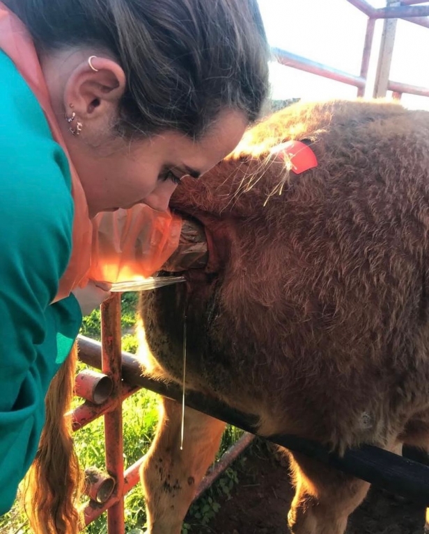 Matilde Albarr&aacute;n Medina: la veterinaria como vocaci&oacute;n para valientes