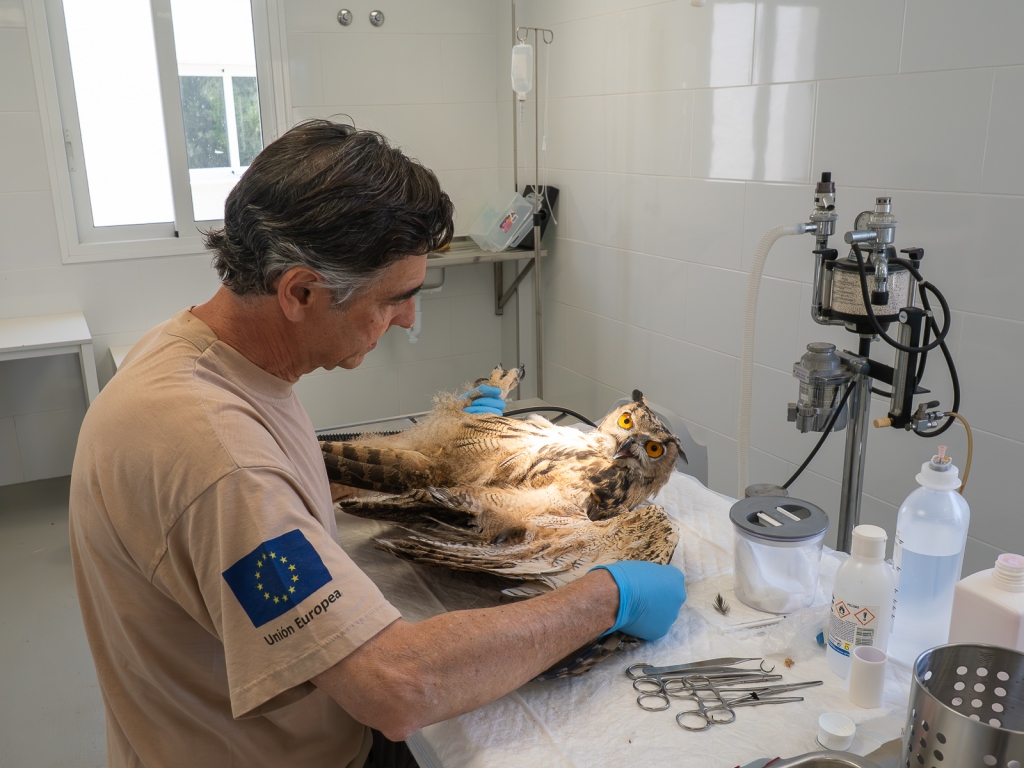 Pedro Mar&iacute;a Mojica: fauna silvestre, toxicolog&iacute;a y vigilancia de la salud en el medio natural
