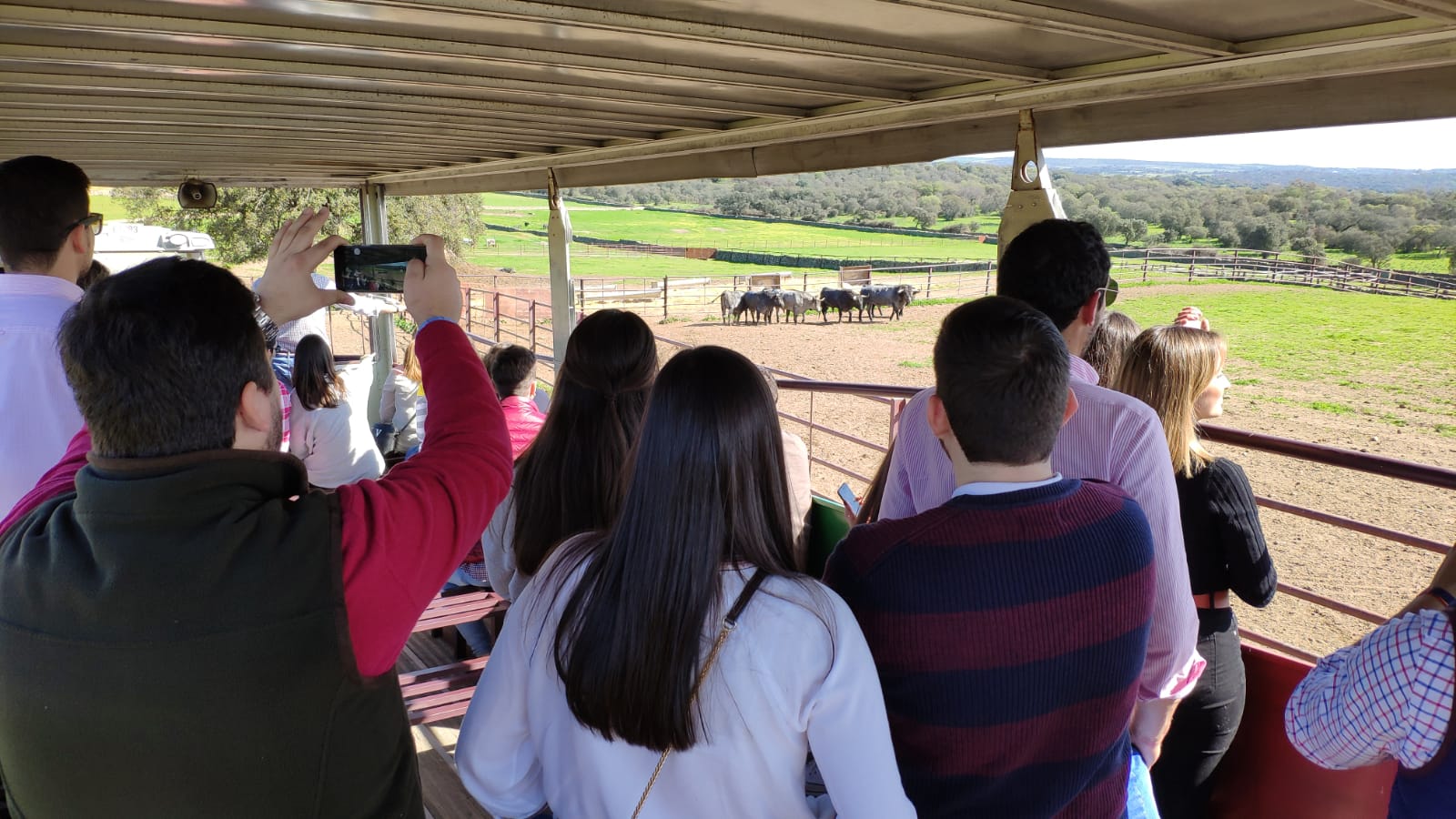 El curso sobre espectáculos taurinos organizado por el Colegio de Cáceres congregó a 27 veterinarios