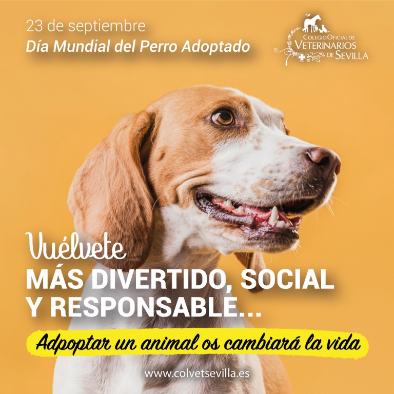 Los veterinarios de Sevilla se suman a la celebración del Día Mundial del Perro Adoptado