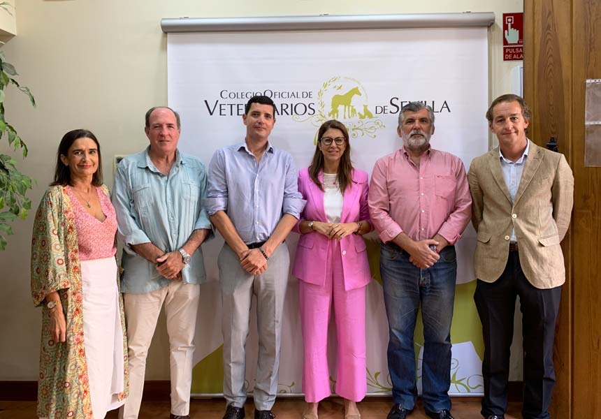 Responsables del Colegio de Sevilla mantienen un encuentro con la nueva delegada de Consumo, Salud y Protección Animal del Ayuntamiento de la capital