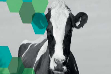 El Colegio de Córdoba y MSD Animal Health organizan una Jornada sobre vacuno de carne y leche