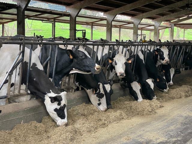 Los veterinarios c&aacute;ntabros, presentes en la jornada programada en Sol&oacute;rzano para analizar el valor de la ganader&iacute;a