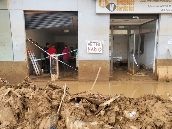 Los veterinarios valencianos se coordinan y reaccionan solidariamente para paliar el desastre de la riada