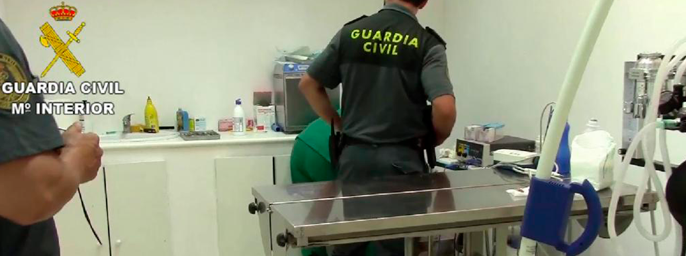 El Colegio de Veterinarios de Valladolid colabora con la Guardia Civil en la investigación de un caso de intrusismo