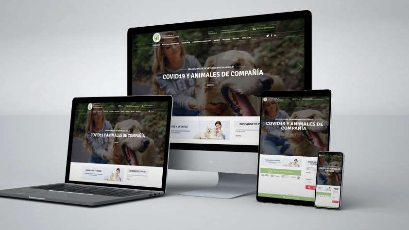 El Colegio de Valladolid estrena una nueva web más funcional para veterinarios y público en general