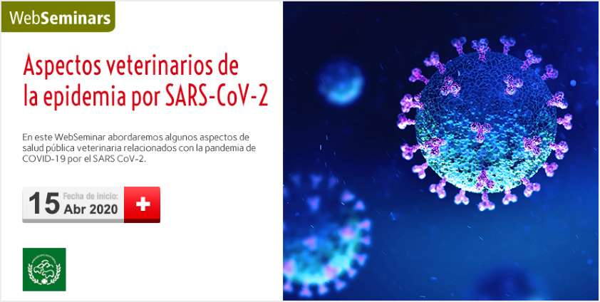 El catedrático Víctor Briones, ponente del seminario web sobre aspectos veterinarios de la epidemia por SARS-COV-2