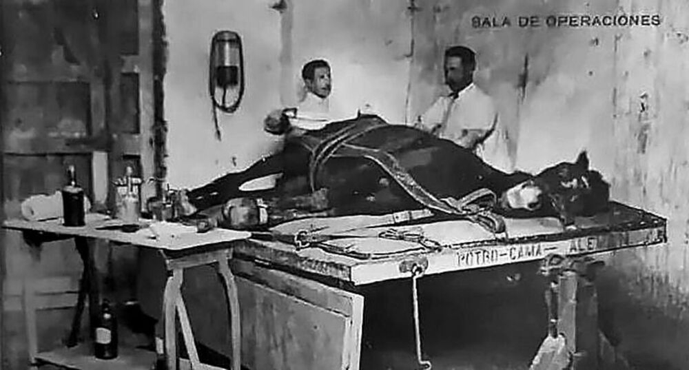 La web del Colegio de Veterinarios de Palencia publica una completa biografía de Manuel Vidal Alemán