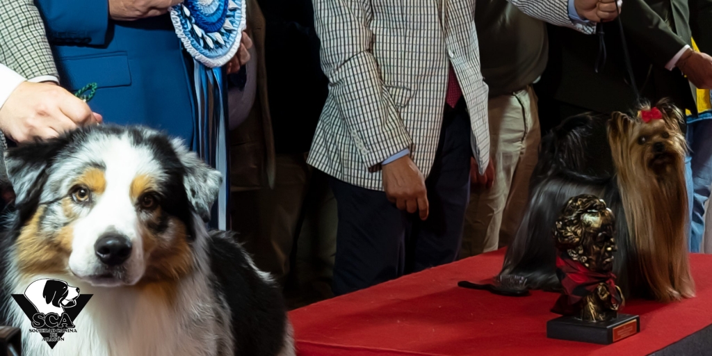 El Colegio de Veterinarios de Zaragoza participó en la XLIV Exposición Internacional Canina de Aragón
