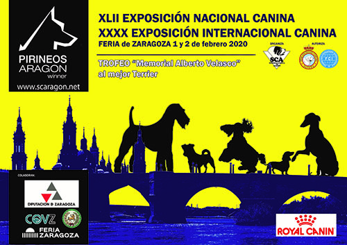 El Colegio de Zaragoza prestará los servicios veterinarios de la XLII Exposición Nacional Canina de Aragón y la XL Internacional  