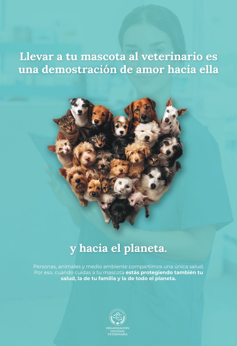 Llevar a tu mascota al veterinario es una demostración de amor hacia ella